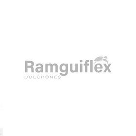 Ramguiflex